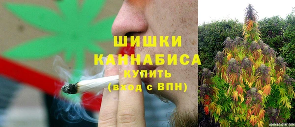 мдпв Дмитров