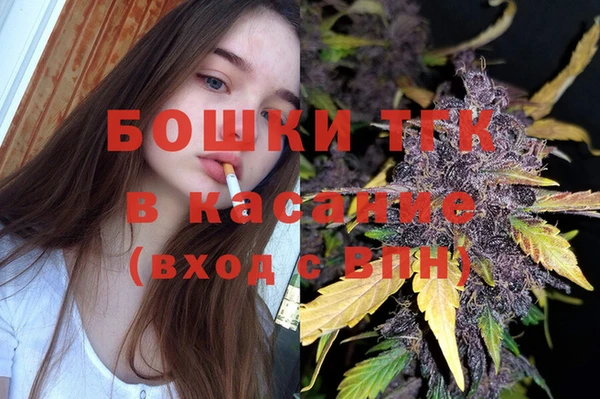 мдпв Дмитров
