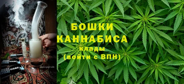 мдпв Дмитров